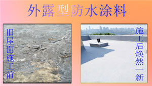 外露型防水涂料